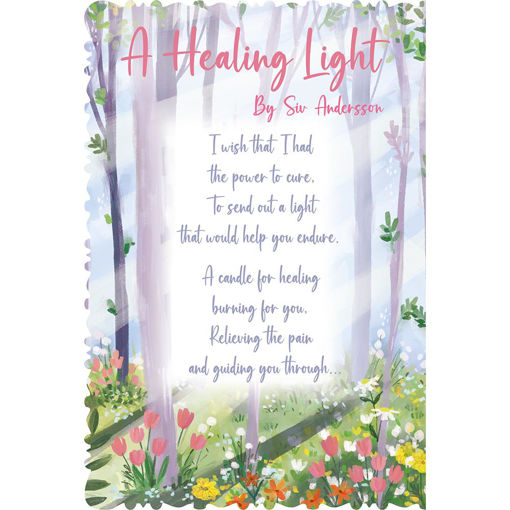 Picture of A HEALING LIGHT BY SUE ANDERSON